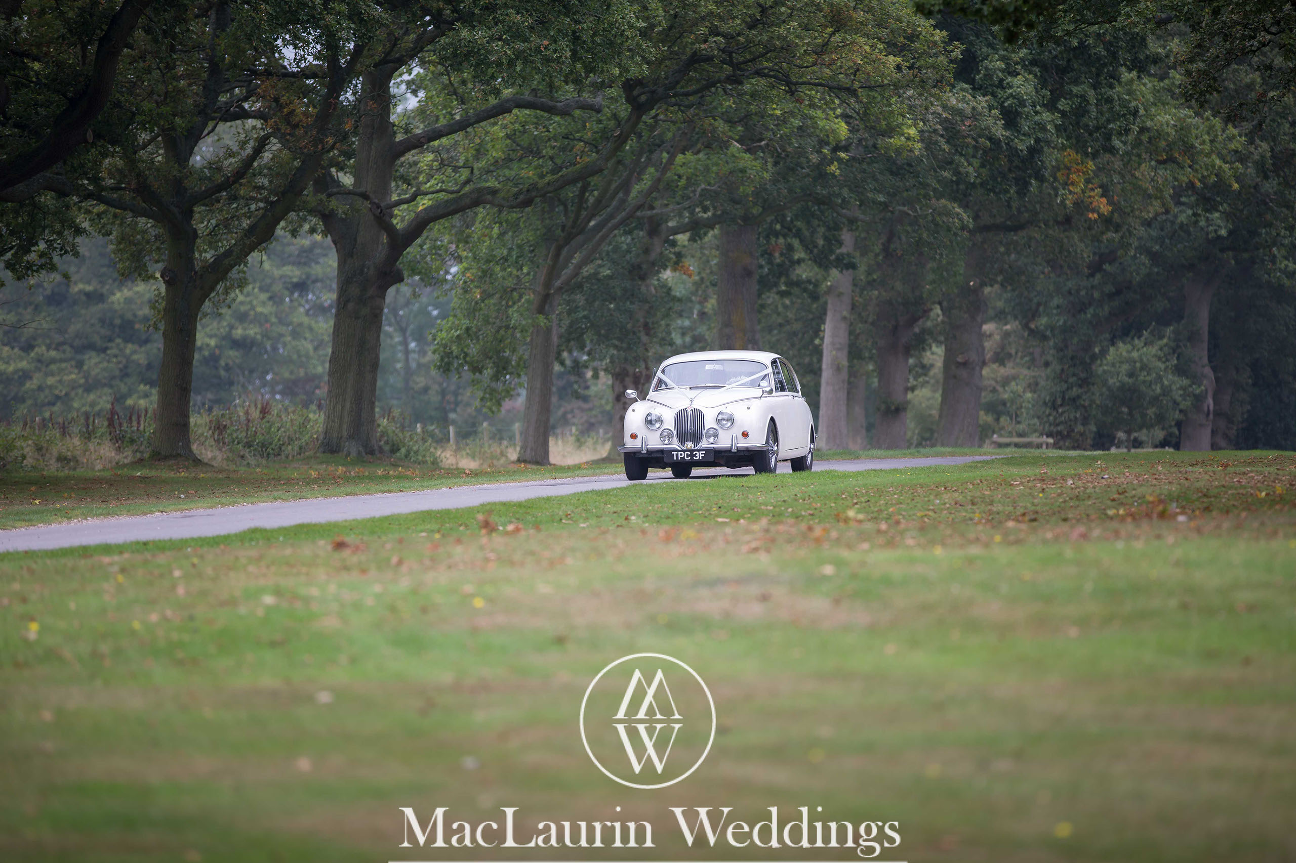 wedding hat and lovely smile, scotland wedding hat and guest with lovely smile, scotland