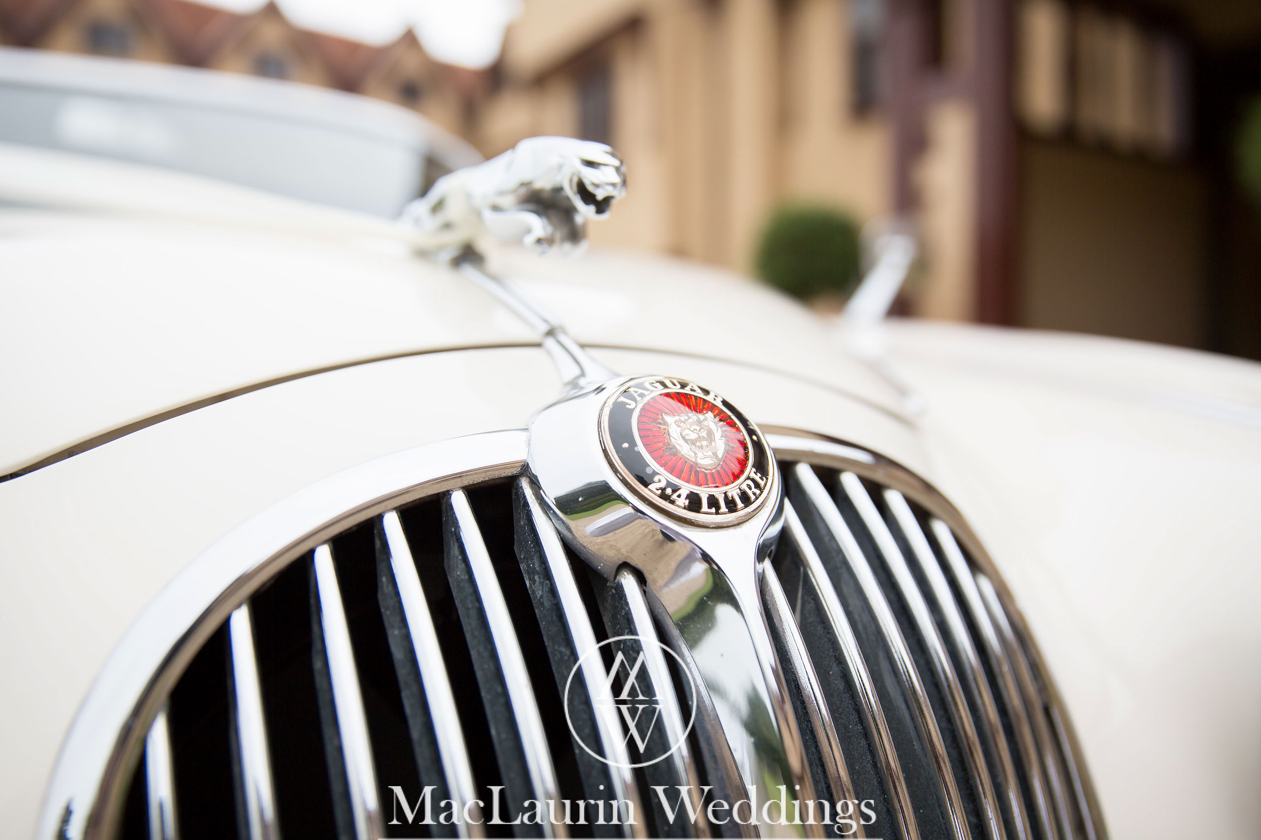 wedding hat and lovely smile, scotland wedding hat and guest with lovely smile, scotland